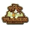 Disney Pin- Fort Wilderness Resort & Campground Mickey 2 Disney Pin- Fort Wilderness Resort & Campground Mickey -Disney Sales Shop 400006205599