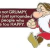 Disney Grumpy Pin - Grumpy - I'm Not Grumpy -Disney Sales Shop 400008603621 500x290 1