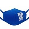 Disney Face Mask - Walt Disney World - Wishes Come True Blue -Disney Sales Shop sc132395
